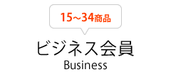 ビジネス会員(Business)15～34商品